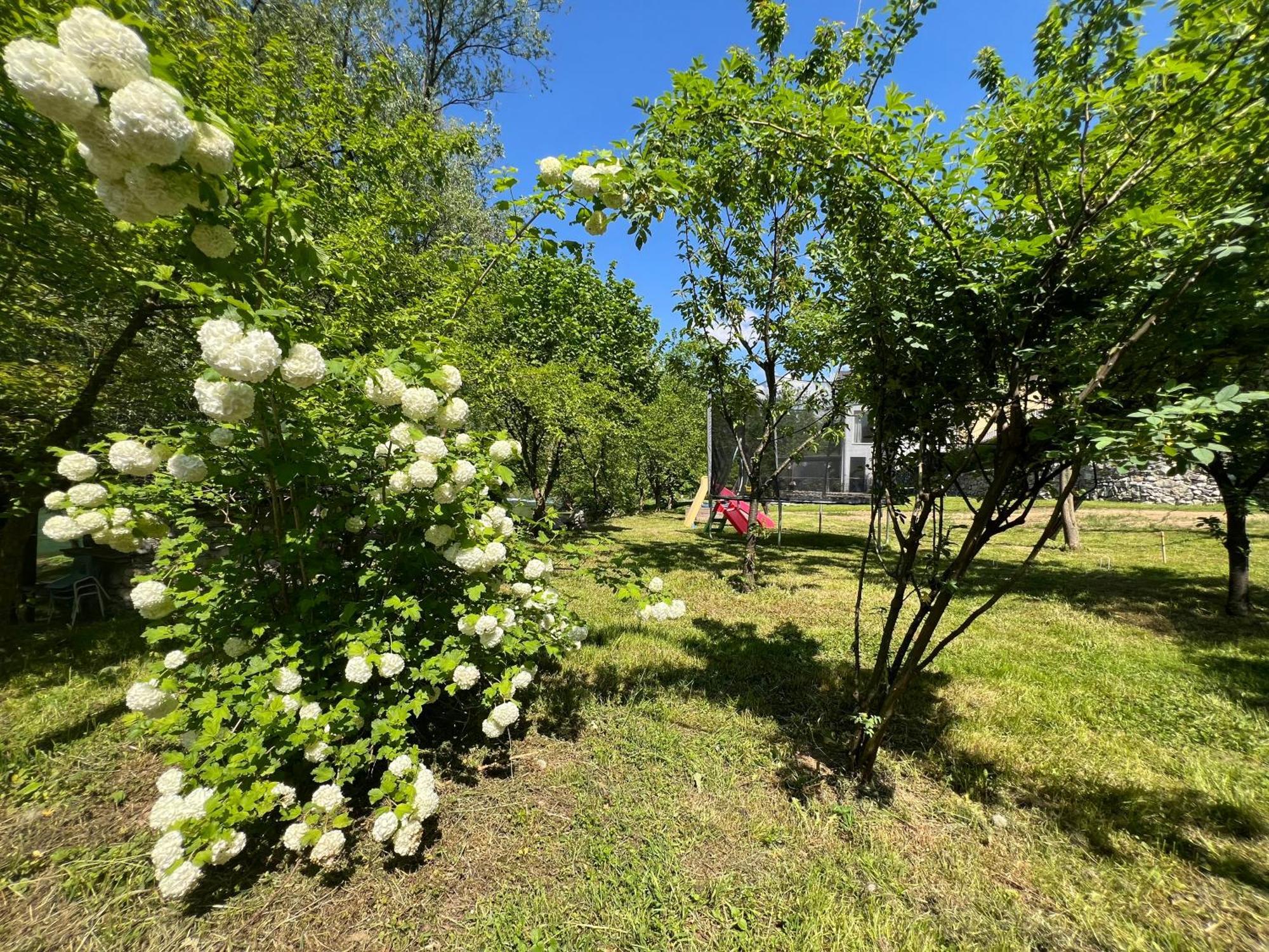Anur Apartment Bihać Dış mekan fotoğraf